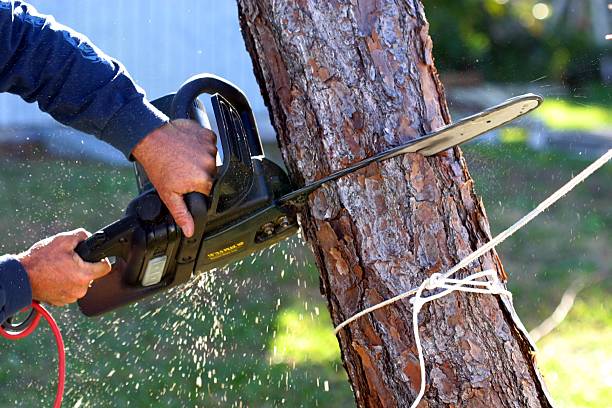 Soil Testing and Treatment in Centerville, SC